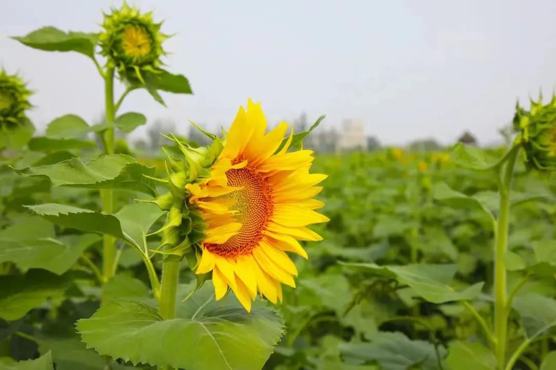 微信图片_20240703103039.jpg